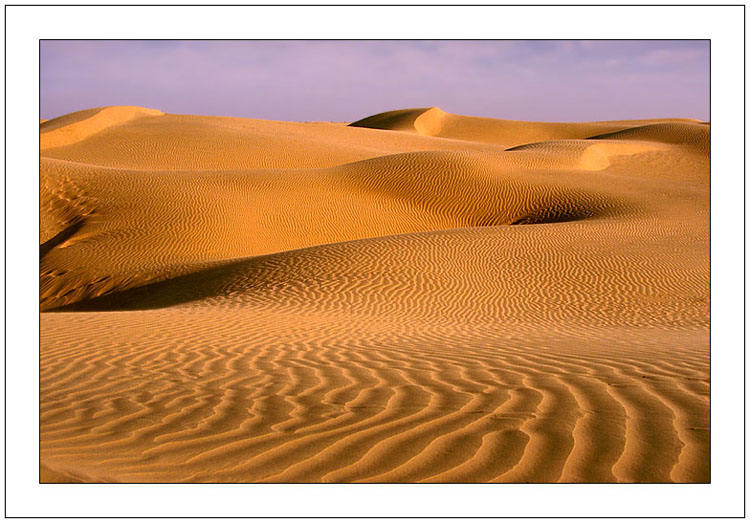 'Desert National Park, Indien.  #1.2' von Kurt Salzmann