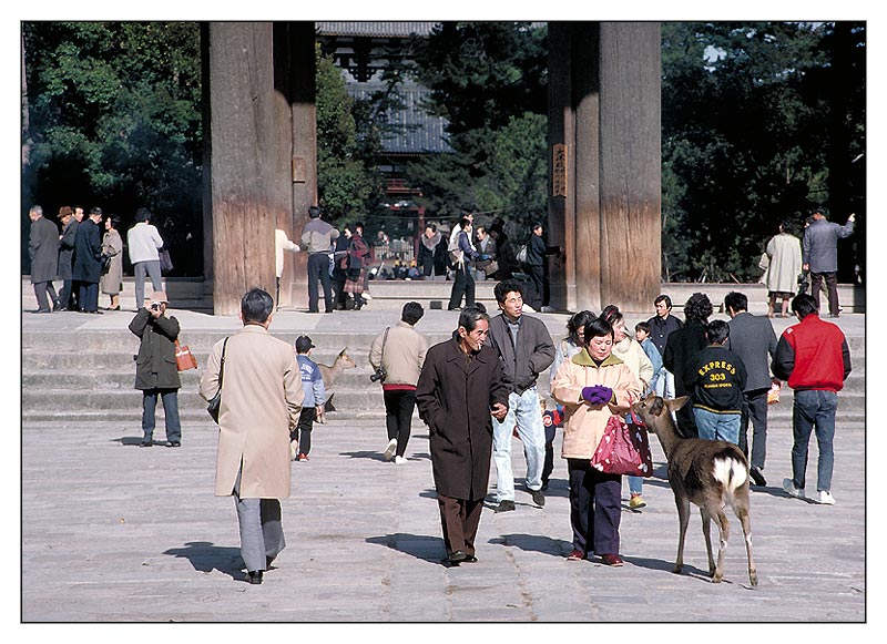 'Vor dem Todai-ji Nara, Japan.' von Kurt Salzmann