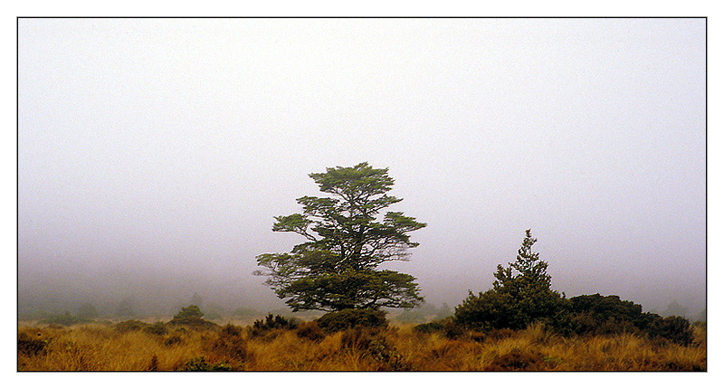 'Tongariro Nationalpark, Neuseeland.' von Kurt Salzmann