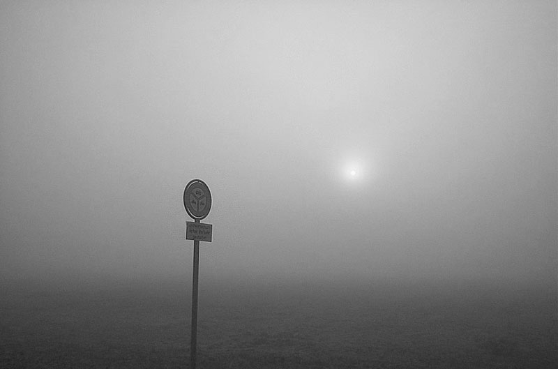 'November im Nebel' von Kurt Salzmann